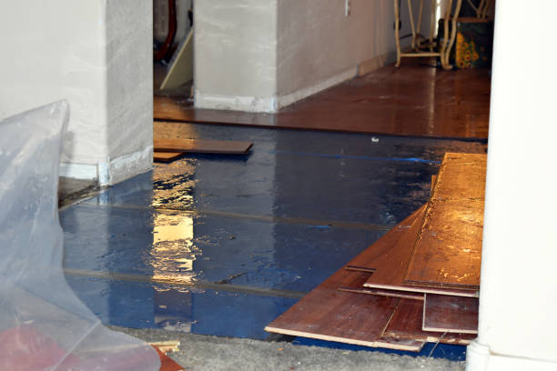 Professional Basement Water Removal technician working in Riverside, WA
